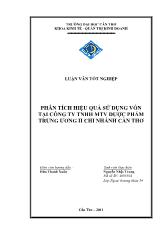 Phân tích hiệu quả sử dụng vốn tại công ty TNHH MTV dược phẩm trung ương II chi nhánh Cần Thơ