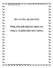 Phân tích tình hình tài chính của công ty cổ phần thuỷ sản Cafatex