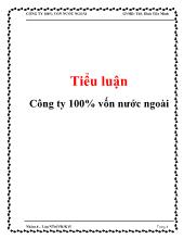 Tiểu luận Công ty 100% vốn nước ngoài