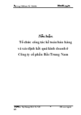 Tiểu luận Tổ chức công tác kế toán bán hàng và xác định kết quả kinh doanh ở Công ty cổ phần Bắc Trung Nam