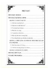 Thực trạng áp dụng chiến lược maketing sản phẩm đa nhãn hiệu dầu gội của tập đoàn Unilever trên thị trường Việt Nam