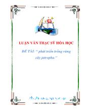 Đề tài Phát triển trồng rừng cây jatropha