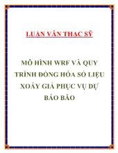 Luận văn Mô hình WRF và quy trình đồng hóa số liệu xoáy giả phục vụ dự báo bão