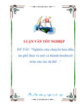 Luận văn Nghiên cứu chuyển hóa dầu ăn phế thải và mỡ cá thành biodiesel trên xúc tác dị thể