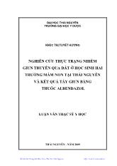 Luận văn Nghiên cứu thực trạng nhiễm giun truyền qua đất ở học sinh hai trường mầm non tại Thái Nguyên và kết quả tầy giun bằng thuốc albendazol