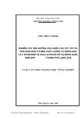 Nghiên cứu ảnh hưởng của chiều cao cắt cây và thời gian nuôi củ đến chất lượng củ giống hoa lily socbonne và hoa layơn đỏ đô vụ đông xuân năm 2008 – 2009 tại thành phố Lạng Sơn