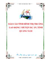 Báo cáo Tình hình thị trường lao động 3 huyện dự án, tỉnh Quảng Nam