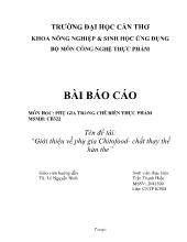 Đề tài Giới thiệu về phụ gia Chitofood - Chất thay thế hàn the