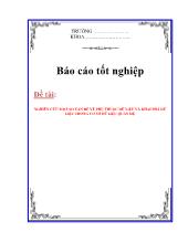Đề tài Nghiên cứu một số vấn đề về phụ thuộc dữ liệu và khai phá dữ liệu trong cơ sở dữ liệu quan hệ