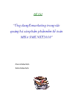 Đề tài Ứng dụng e - Marketing trong việc quảng bá sản phẩm phần mềm kế toán misa sme.net 2010