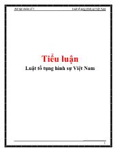 Tiểu luận Luật tố tụng hình sự Việt Nam