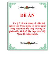 Đề án Vai trò và mối quan hệ giữa hai nguồn vốn trong nước và nước ngoài trong việc thúc đẩy tăng trưởng và phát triển kinh tế, lấy thực tiễn Việt Nam để chứng minh
