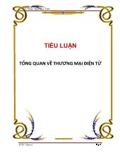 Luận văn Tổng quan về thương mại điện tử