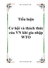Tiểu luận Cơ hội và thách thức của Việt Nam khi gia nhập WTO