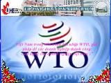 Việt Nam trong tiến trình hội nhập WTO, giải pháp để các doanh nghiệp thành công (áp dụng cho doanh nghiệp Việt Nam)