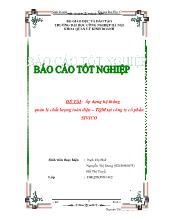 Áp dụng hệ thống quản lý chất lượng toàn diện – quản lý chất lượng toàn diện tại công ty cổ phần Sivico