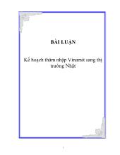 Bài luận kế hoạch thâm nhập vinamit sang thị trường nhật