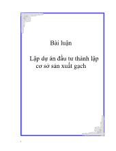 Bài luận Lập dự án đầu tư thành lập cơ sở sản xuất gạch