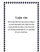Đặc điểm của thị trường lao động ở các nước đang phát triển - Phân tích hiện tượng dư thừa lao động ở Việt Nam dưới góc độ tăng trưởng kinh tế - Các giải pháp để xử lý vấn đề này