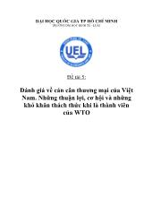 Đề tài Đánh giá về cán cân thương mại của Việt Nam - Những thuận lợi, cơ hội và những khó khăn thách thức khi là thành viên của WTO