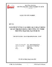 Đề tài Giải pháp nâng cao hiệu quả hoạt động quản trị bán hàng cho công ty TNHH thương mại MK tại TP Hồ Chí Minh