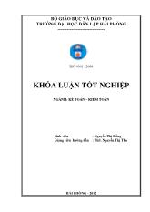 Đề tài Hoàn thiện công tác kế toán doanh thu, chi phí và xác định kết quả kinh doanh tại công ty trách nhiệm hữu hạn tiếp vận Hải Long