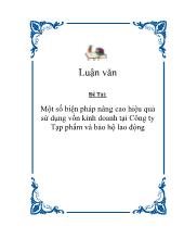 Đề tài Một số biện pháp nâng cao hiệu quả sửdụng vốn kinh doanh tại Công ty Tạp phẩm và bảo hộ lao động