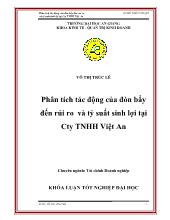 Khóa luận Phân tích tác động của đòn bẩy đến rủi ro và tỷ suất sinh lợi tại Công ty TNHH Việt An