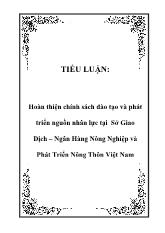 Luận văn Hoàn thiện chính sách đào tạo và phát triển nguồn nhân lực ở sở giao dịch – Ngân hàng nông nghiệp và phát triển nông thôn Việt Nam