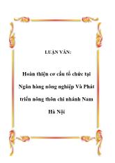Luận văn Hoàn thiện cơ cấu tổ chức tại Ngân hàng nông nghiệp Và Phát triển nông thôn chi nhánh Nam Hà Nội