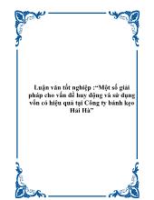 Luận văn Một số giải pháp cho vấn đề huy động và sử dụng vốn có hiệu quả ở Công ty bánh kẹo Hải Hà