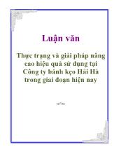 Luận văn Thực trạng và giải pháp nâng cao hiệu quả sử dụng tại Công ty bánh kẹo Hải Hà trong giai đoạn hiện nay