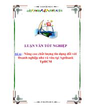 Nâng cao chất lượng tín dụng đối với Doanh nghiệp nhỏ và vừa tại Agribank Tp Hồ Chí Minh