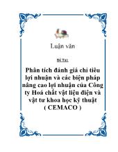 Phân tích đánh giá chỉtiêu lợi nhuận và các biện pháp nâng cao lợi nhuận của Công ty Hoá chất vật liệu điện và vật tư khoa học kỹ thuật (EMACO)
