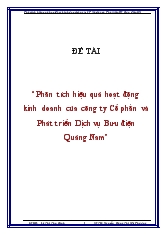 Phân tích hiệu quả hoạt động kinh doanh của công ty Cổ phần và Phát triển Dịch vụ Bưu điện Quảng Nam