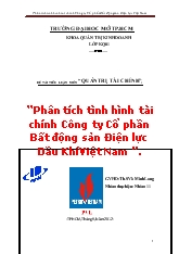 Phân tích tình hình tài chính công ty cổ phần bất động sản điện lực dầu khí Việt Nam