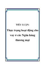 Thực trạng hoạt động cho vay ở các Ngân hàng thương mại