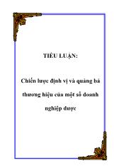 Tiểu luận Chiến lược định vị và quảng bá thương hiệu của một số doanh nghiệp dược