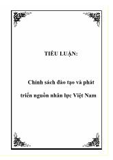 Tiểu luận Chính sách đào tạo và phát triển nguồn nhân lực Việt Nam