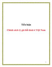 Tiểu luận Chính sách tỷ giá hối đoái tại Việt Nam