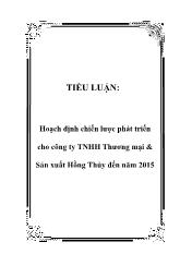 Tiểu luận Hoạch định chiến lược phát triển cho công ty TNHH Thương mại và sản xuất Hồng Thủy đến năm 2015