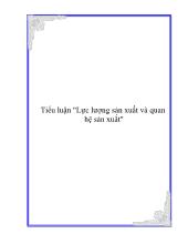 Tiểu luận Lực lượng sản xuất và quan hệ sản xuất