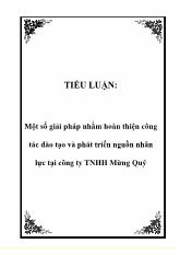 Tiểu luận Một số giải pháp nhằm hoàn thiện công tác đào tạo và phát triển nguồn nhân lực tại công ty TNHH Mừng Quý