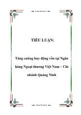 Tiểu luận Tăng cường huy động vốn tại Ngân hàng Ngoại thương Việt Nam – Chi nhánh Quảng Ninh