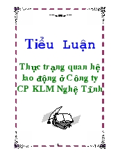 Tiểu luận Thực trạng quan hệ lao động ở Công ty CP KLM Nghệ Tĩnh
