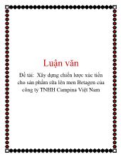 Xây dựng chiến lược xúc tiến cho sản phẩm sữa lên men Betagen của công ty TNHH Campina Việt Nam
