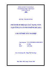 Chuyên đề Phân tích hiệu quả sử dụng vốn tại công ty cổ phần sông đà 60.6