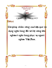 Đề tài Giải pháp nhằm nâng cao hiệu quả tín dụng ngân hàng đối với hộ nông dân nghèo tại ngân hàng phục vụ người nghèo Việt Nam