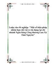 Đề tài Một số biện pháp nhằm hạn chế rủi ro tín dụng tại chi nhánh ngân hàng công thương lưu xá Thái Nguyên