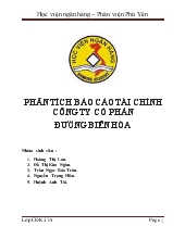 Đề tài Phân tích báo cáo tài chính công ty cổ phần đường Biên Hòa